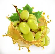 石崎秀儿空气炸锅坏了怎么办芹菜土豆丝