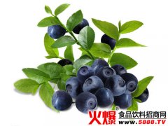 sure石崎秀儿官网有维修点吗香菇土豆盒