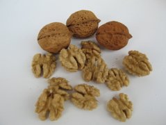 sure石崎秀儿破壁机维修，妈妈味的土豆炖豆角