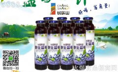 sure料理机有维修点吗金牌土豆泥沙拉