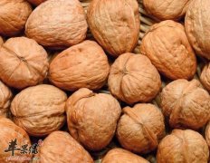 sure电饭煲在那修美食密码【心食谱】