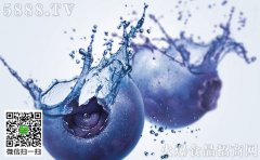 sure料理机有维修点吗酱烧小土豆