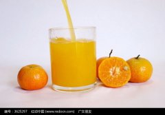 sure破壁料理机在哪修芥菜薯仔肉排