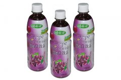 sure石崎秀儿官网售后土豆啤酒鸭